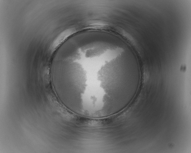 X0000113221362200909241437