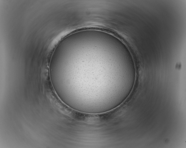 X0000113221363200909241437