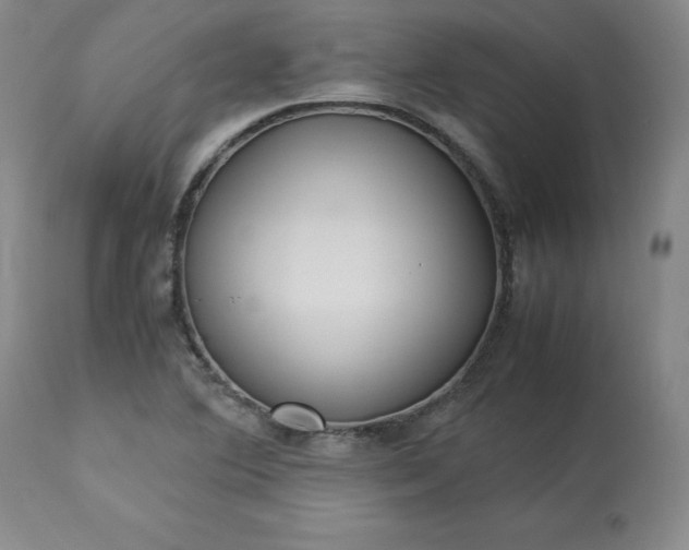 X0000113221364200909241437