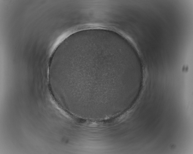 X0000113221365200909241437