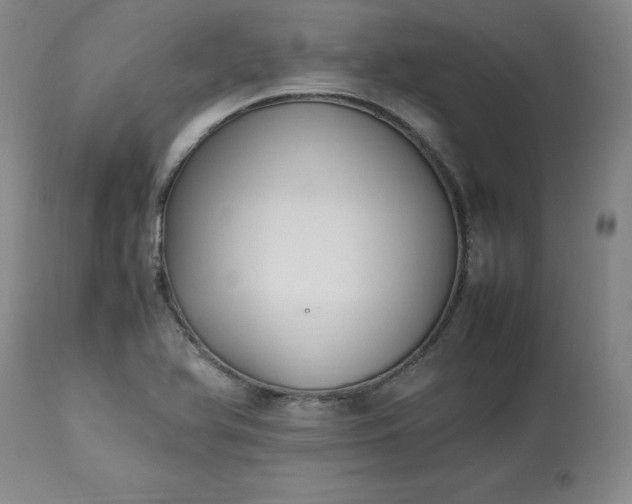 X0000113221366200909241437