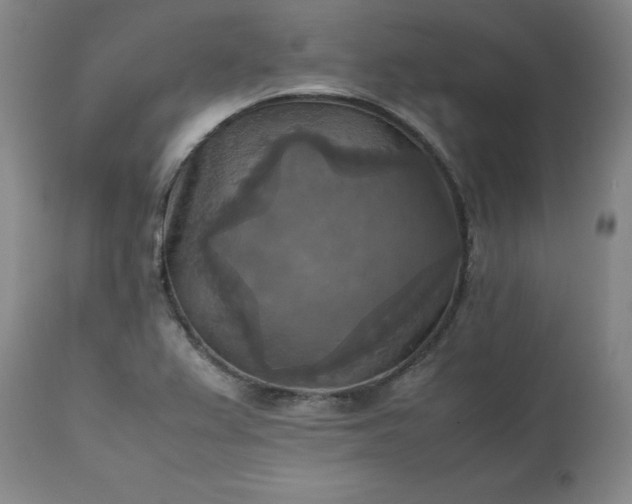 X0000113221367200909241437