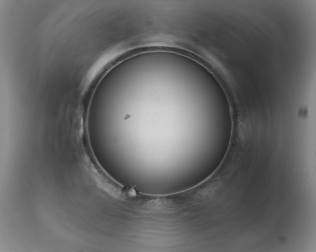 X0000113221368200909241437