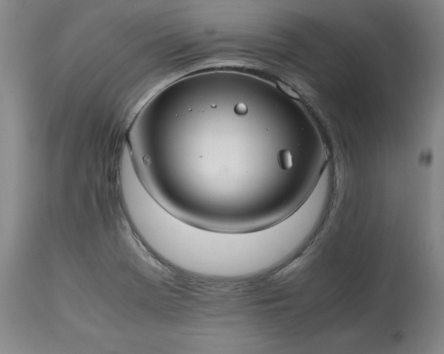 X0000113221369200909241437