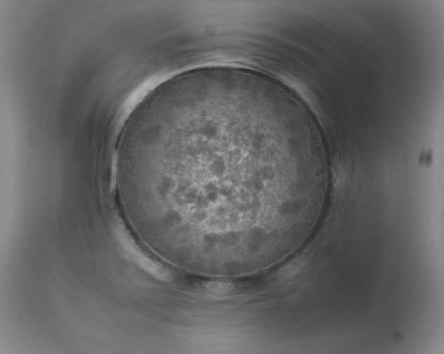 X0000113221371200909241437