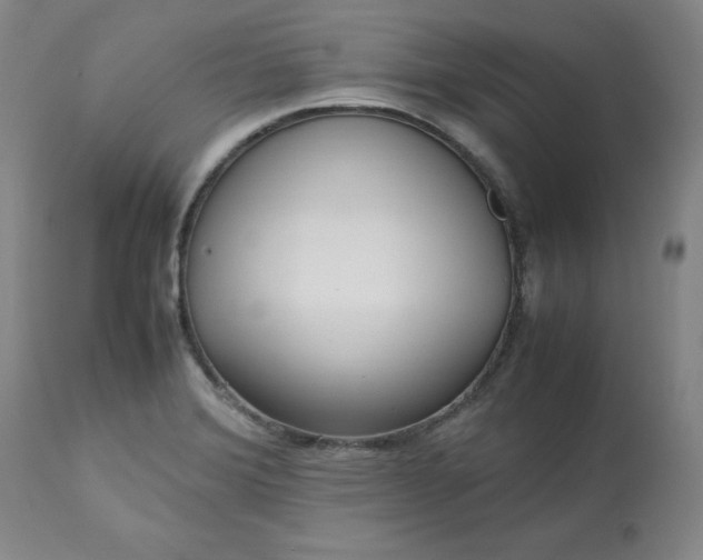 X0000113221372200909241437