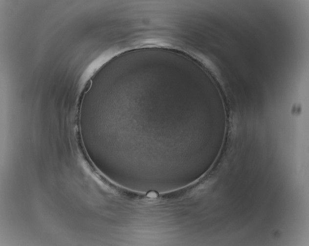 X0000113221373200909241437