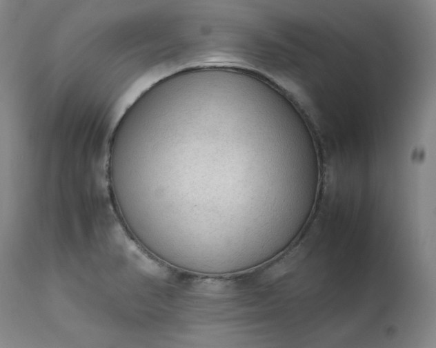 X0000113221374200909241437