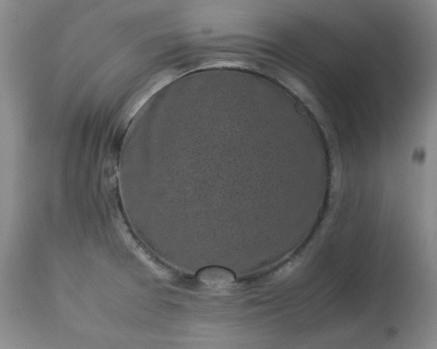 X0000113221377200909241437