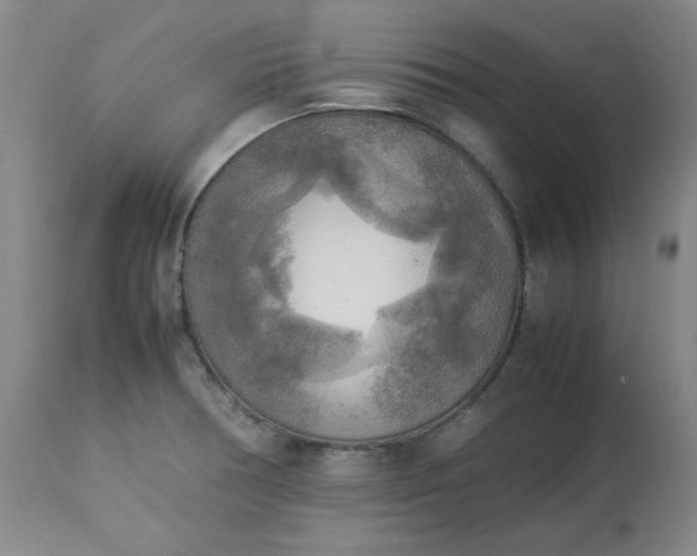 X0000113221378200909241437