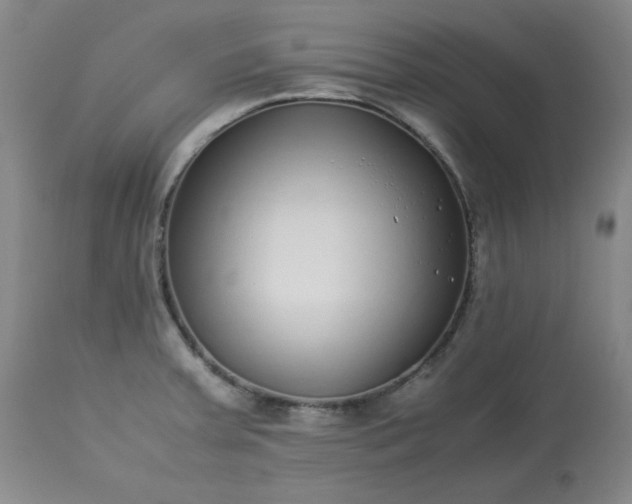 X0000113221379200909241437