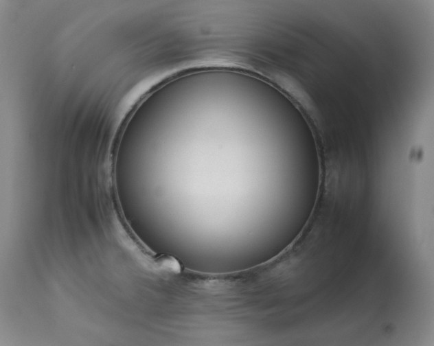 X0000113221380200909241437