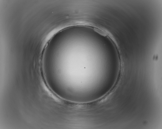 X0000113221381200909241437