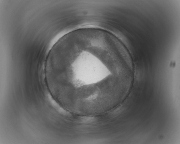 X0000113221382200909241437