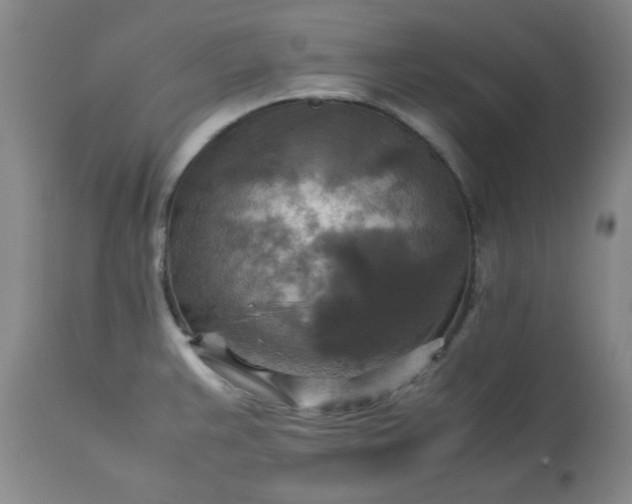 X0000113221383200909241437