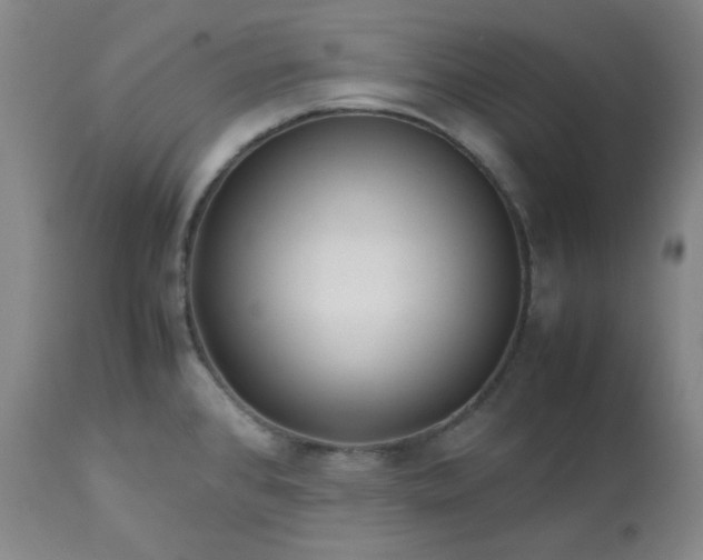 X0000113221384200909241437