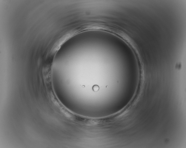 X0000113221385200909241437