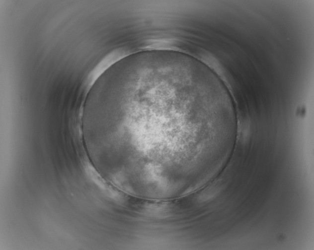 X0000113221386200909241437