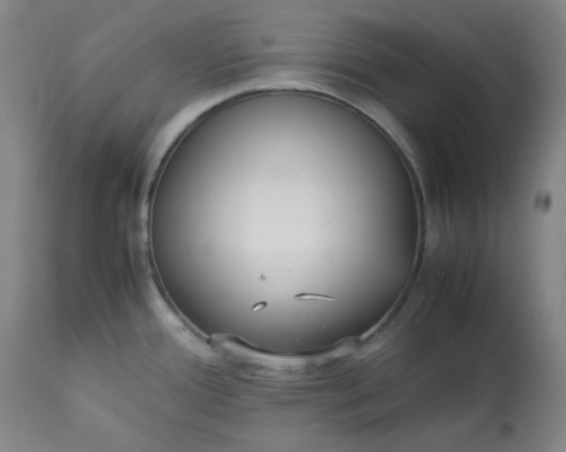 X0000113221388200909241437