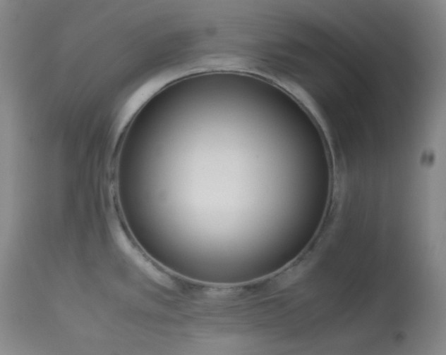 X0000113221389200909241437