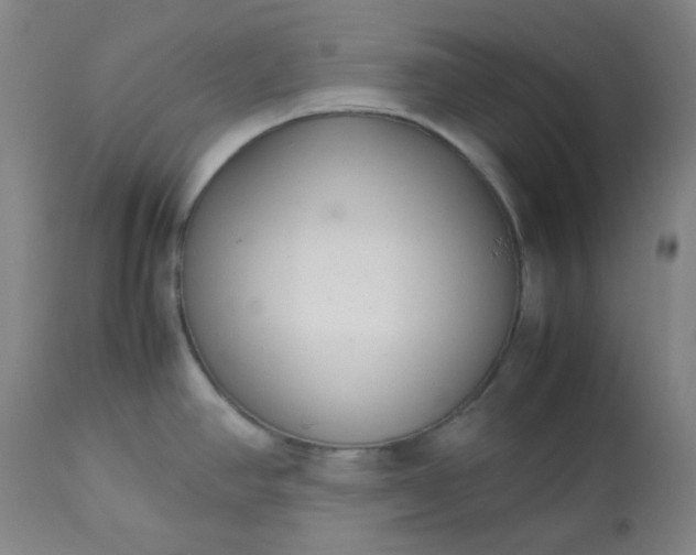 X0000113221390200909241437