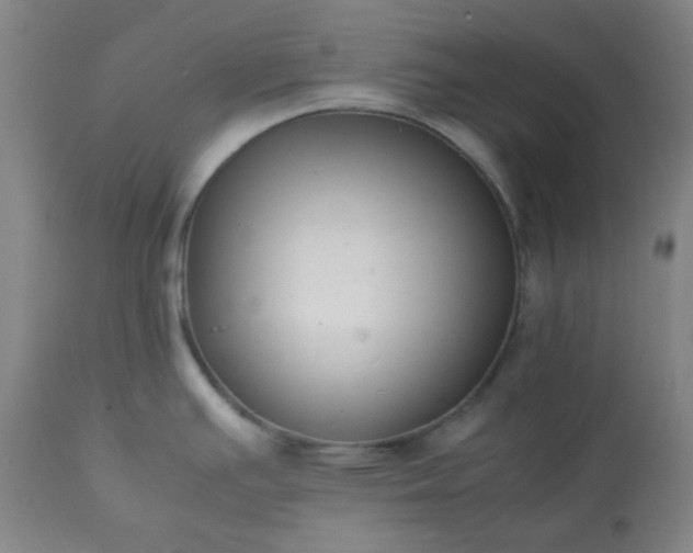 X0000113221391200909241437