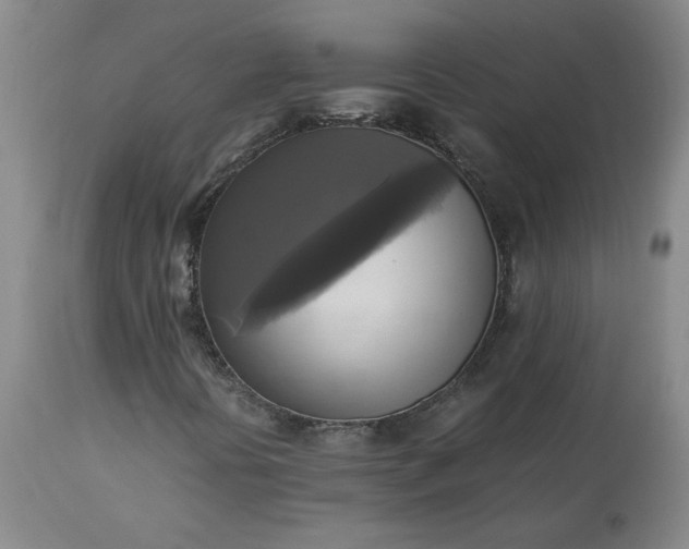 X0000113221394200909241436