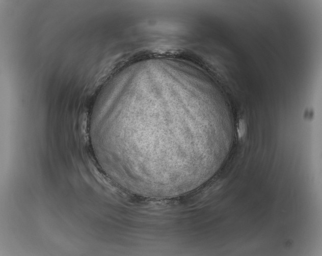 X0000113221396200909241436