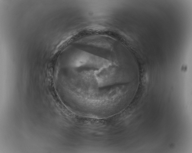 X0000113221397200909241436