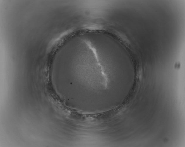 X0000113221398200909241436