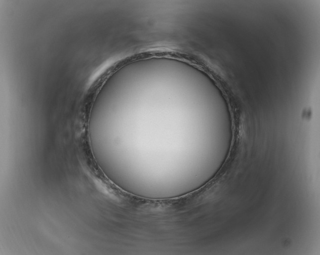 X0000113221400200909241436