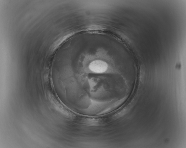 X0000113221401200909241436