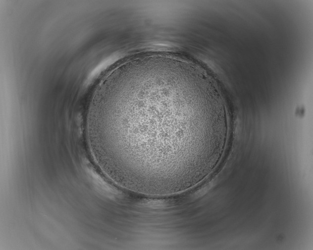 X0000113221402200909241436