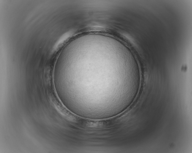 X0000113221403200909241436