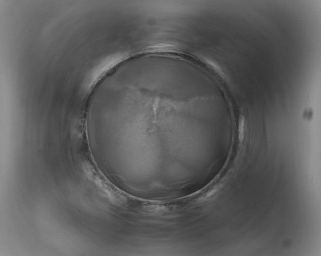 X0000113221405200909241437