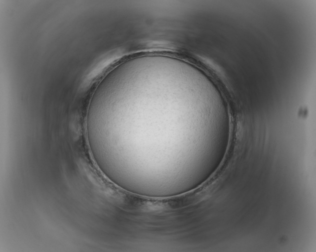 X0000113221407200909241437