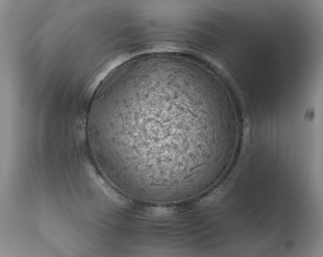 X0000113221409200909241437