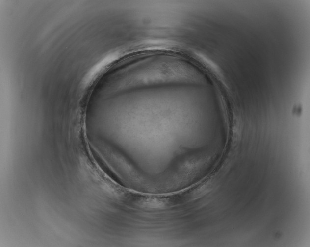 X0000113221411200909241437