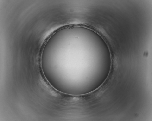 X0000113221412200909241437