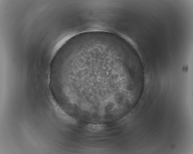 X0000113221415200909241437