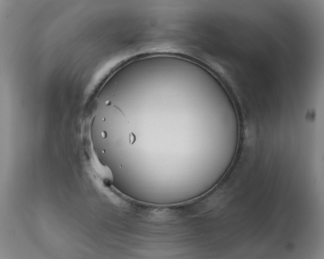 X0000113221416200909241437