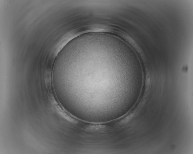 X0000113221417200909241437