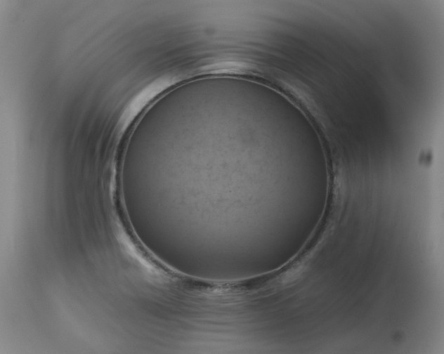 X0000113221418200909241437