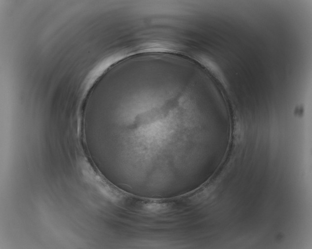 X0000113221419200909241437