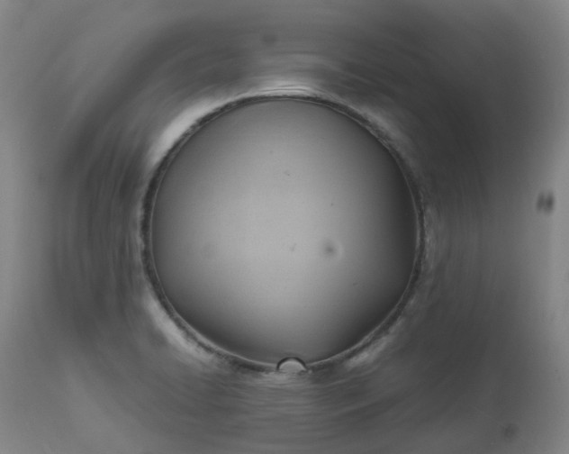 X0000113221422200909241437