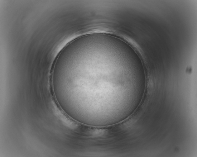 X0000113221423200909241437