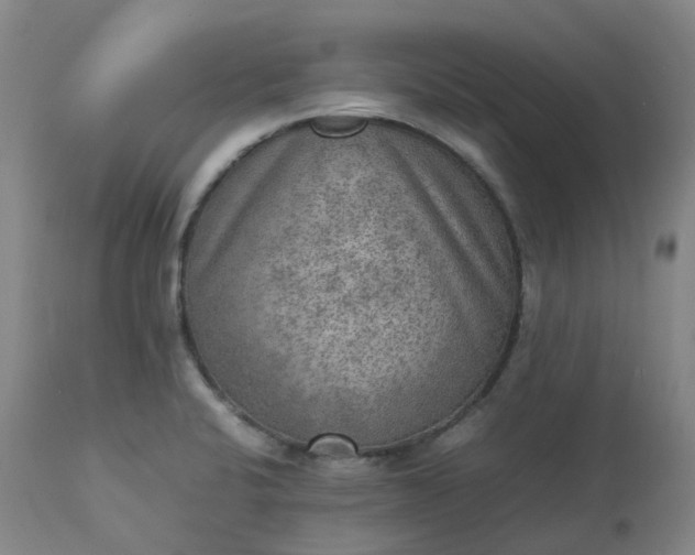 X0000113221424200909241437