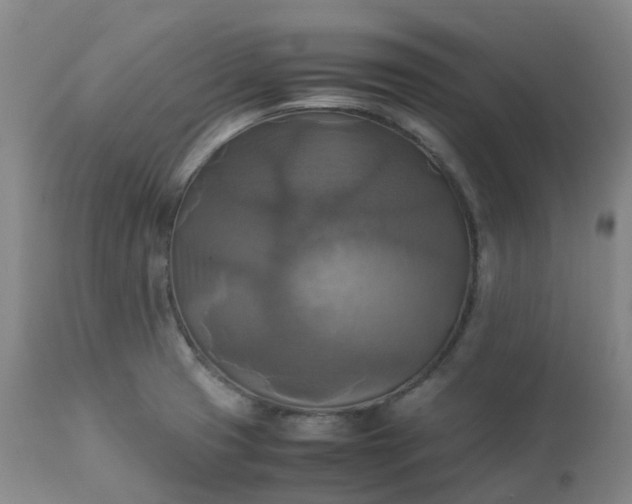 X0000113221425200909241437