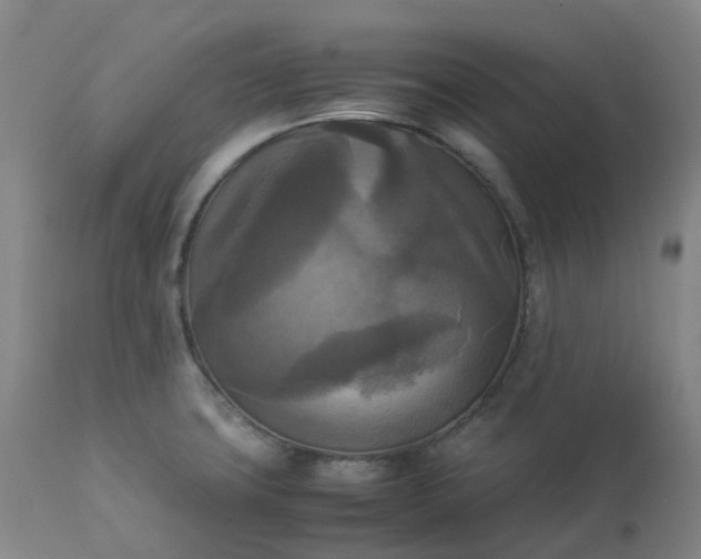 X0000113221427200909241437