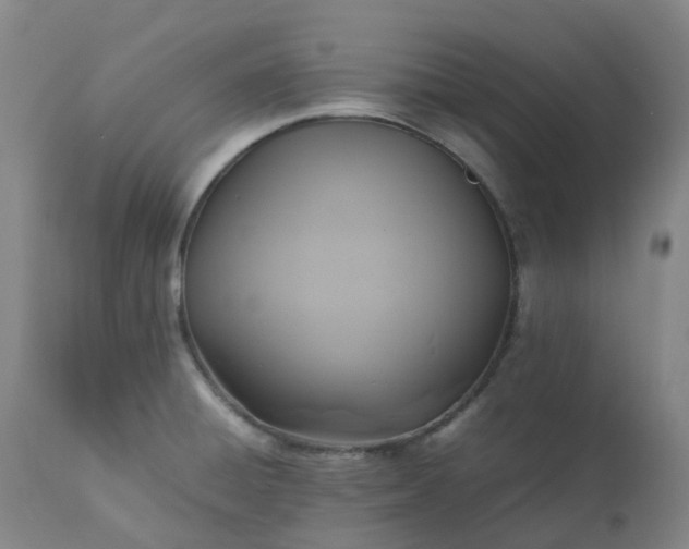 X0000113221428200909241437